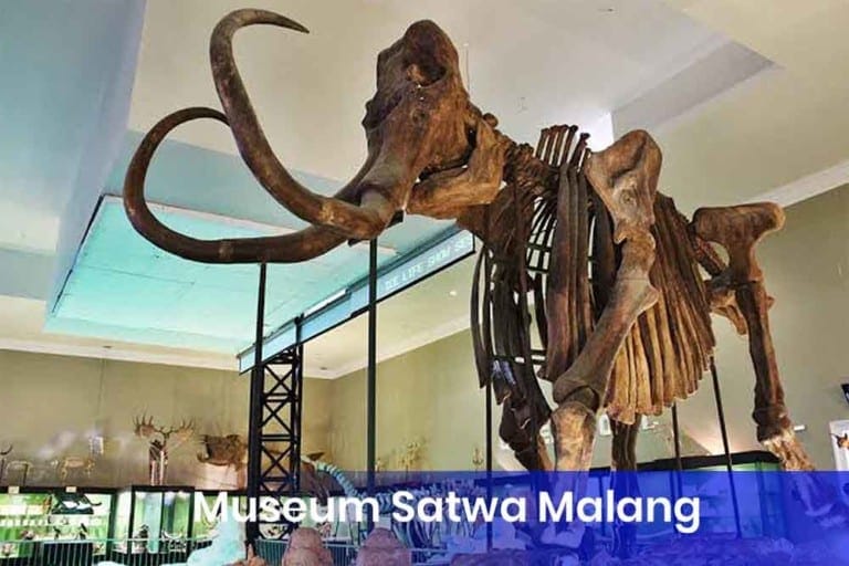 Museum Satwa Malang